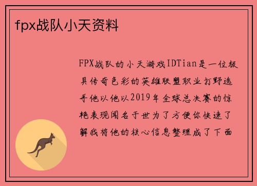 fpx战队小天资料